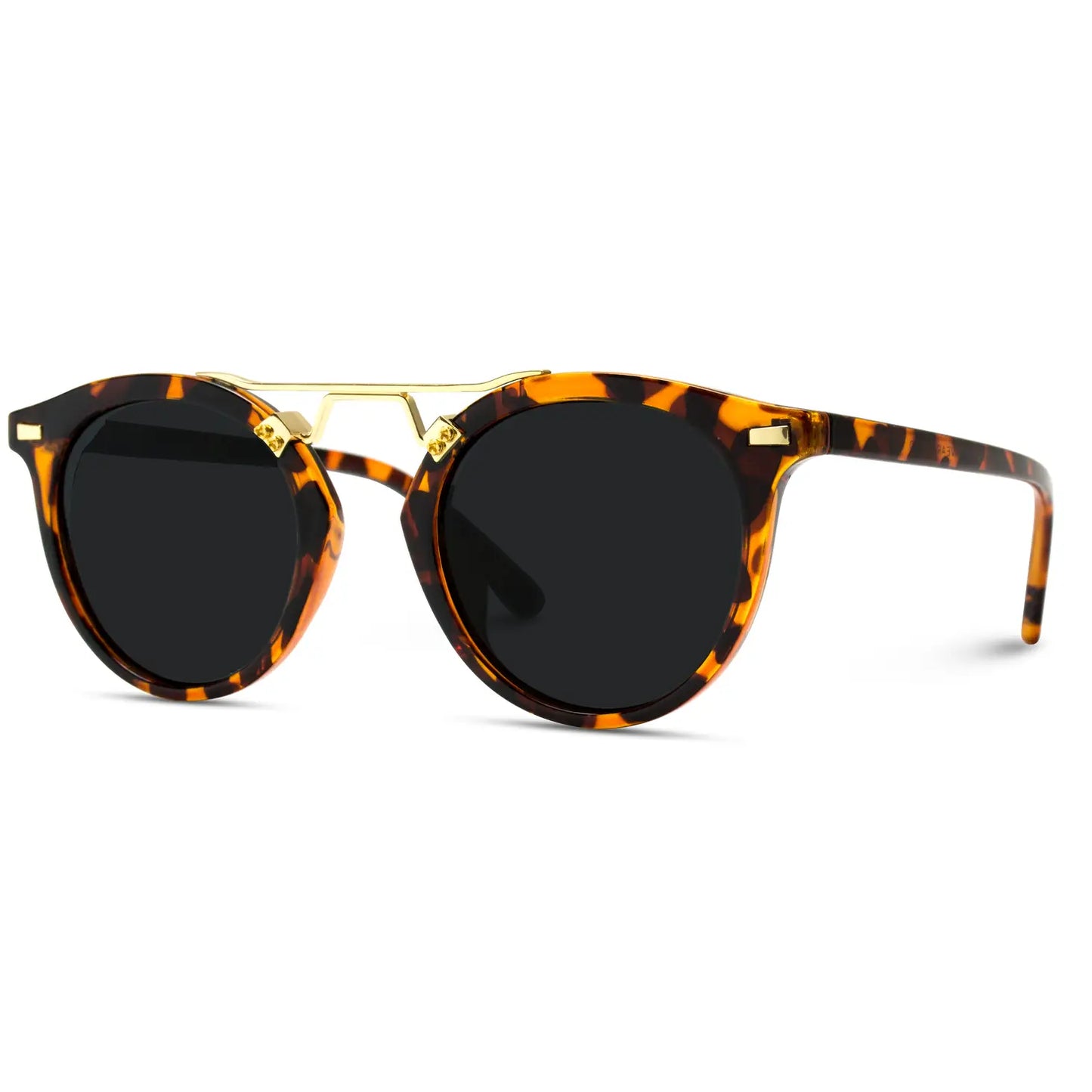 Skyler Round Polarized Modern Double Metal Bridge