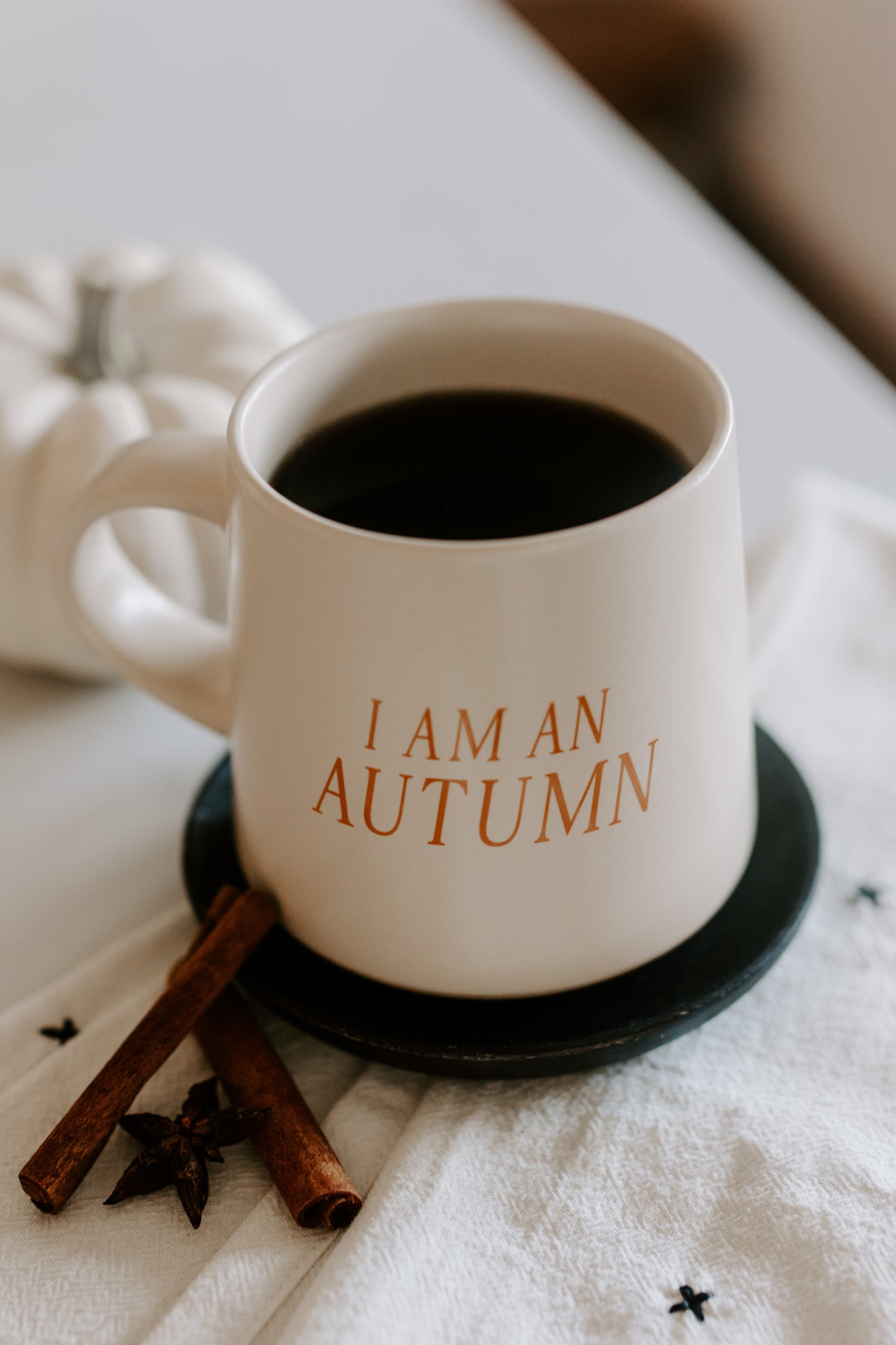 IMPERFECT Stars Hollow Fall Festival Mug - 2024