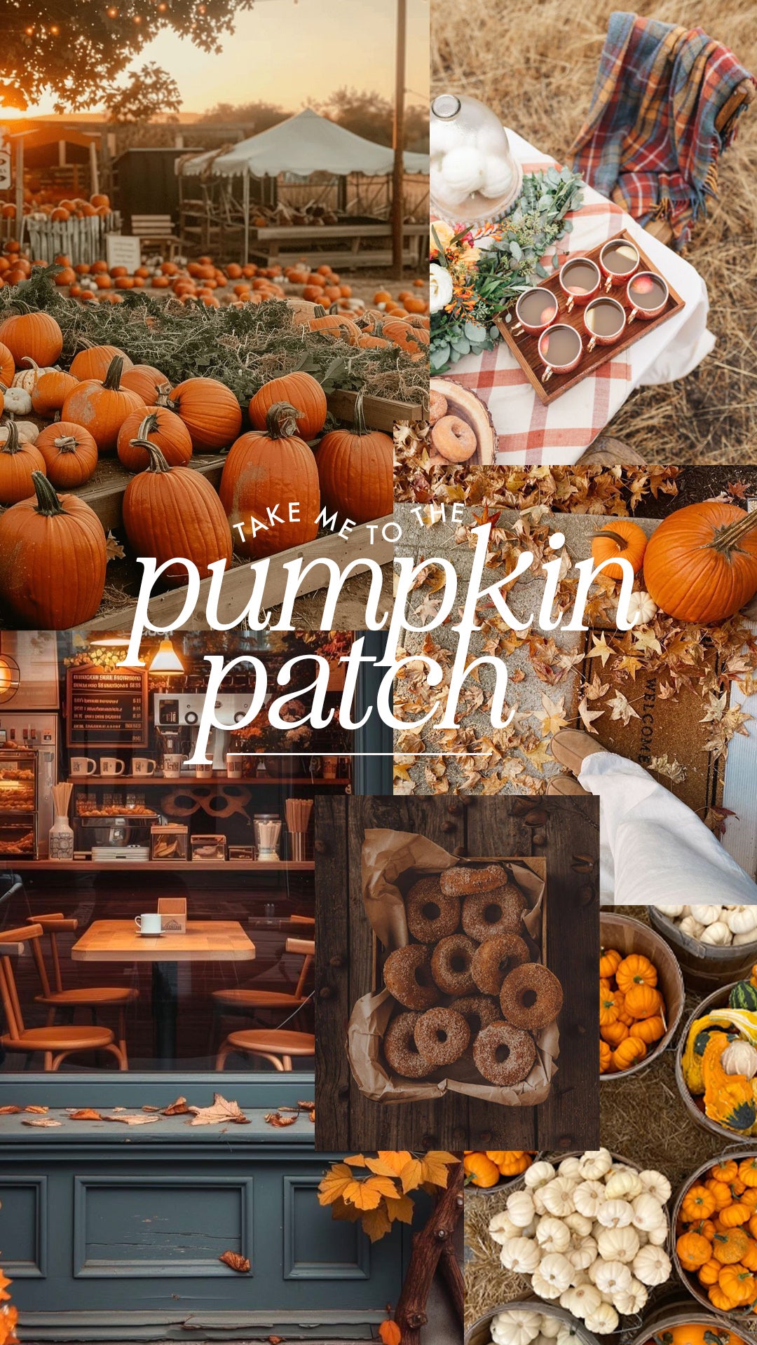Fall Surprise Box - 2025