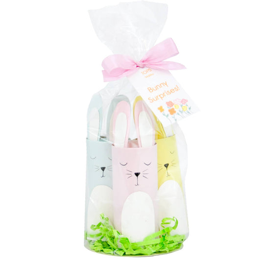 Tabletop Easter Surprizes - Bunnies in a Bag - Set of 3