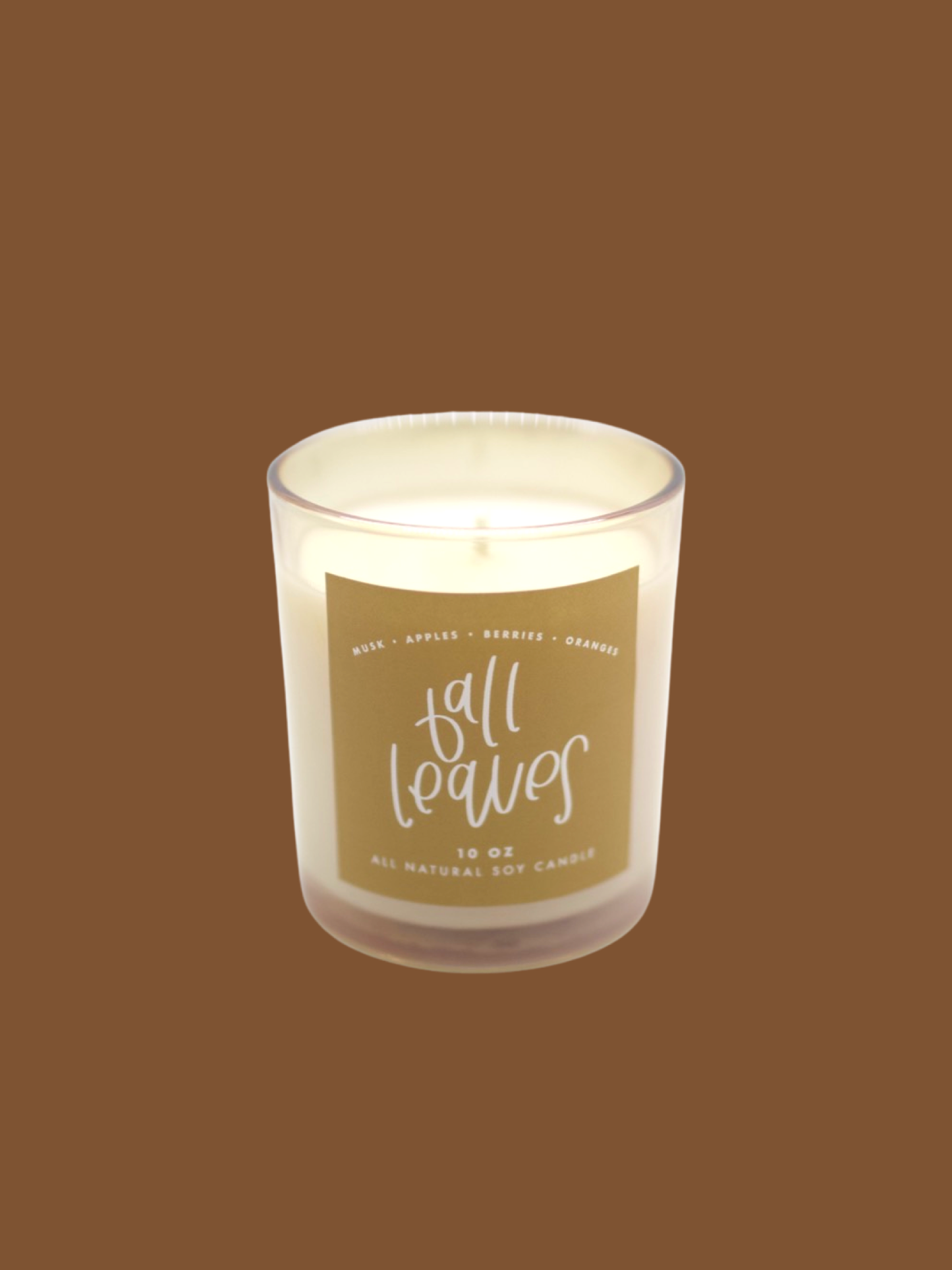 Fall Leaves 10oz Candle (NEW)