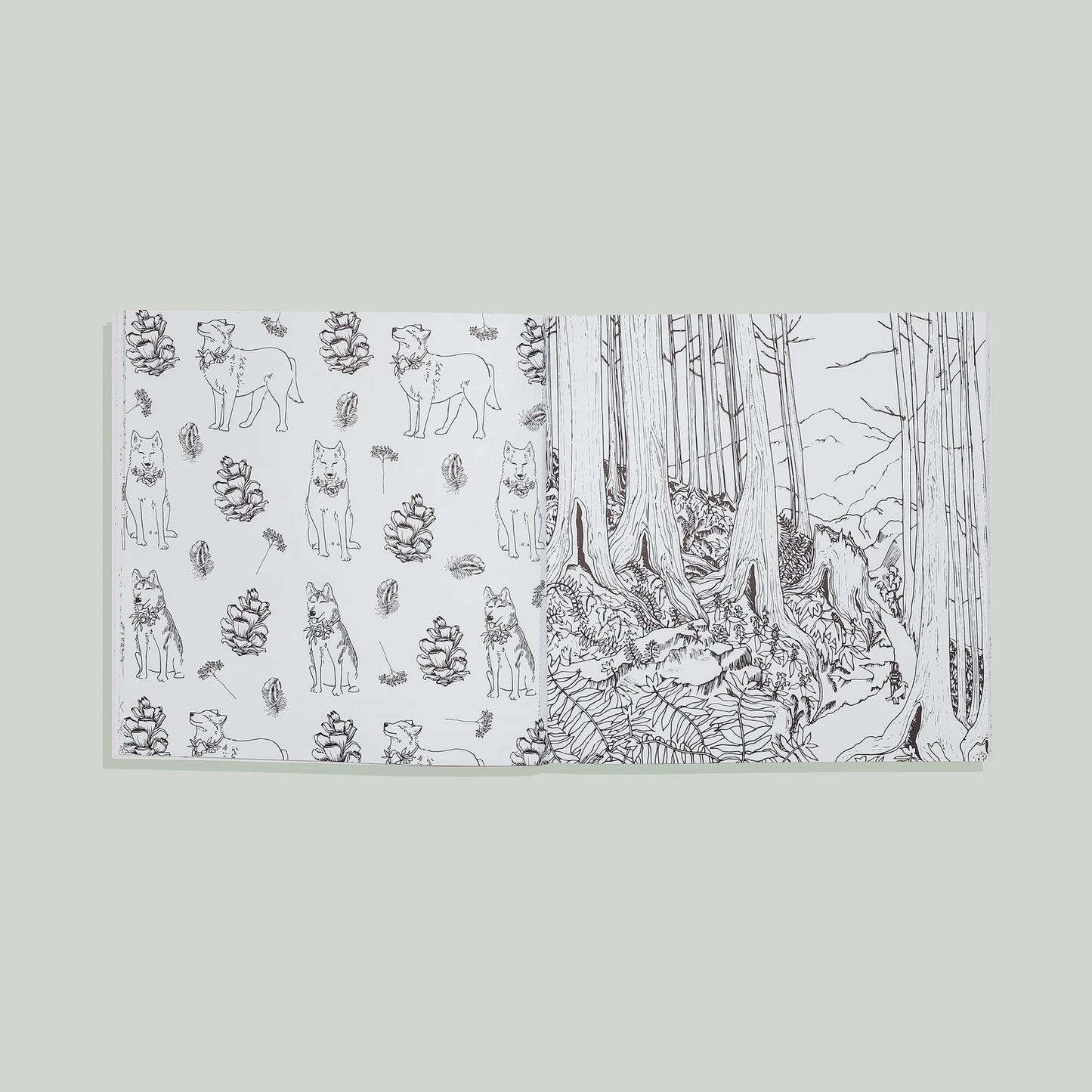 Plant Lady - Coloring Book