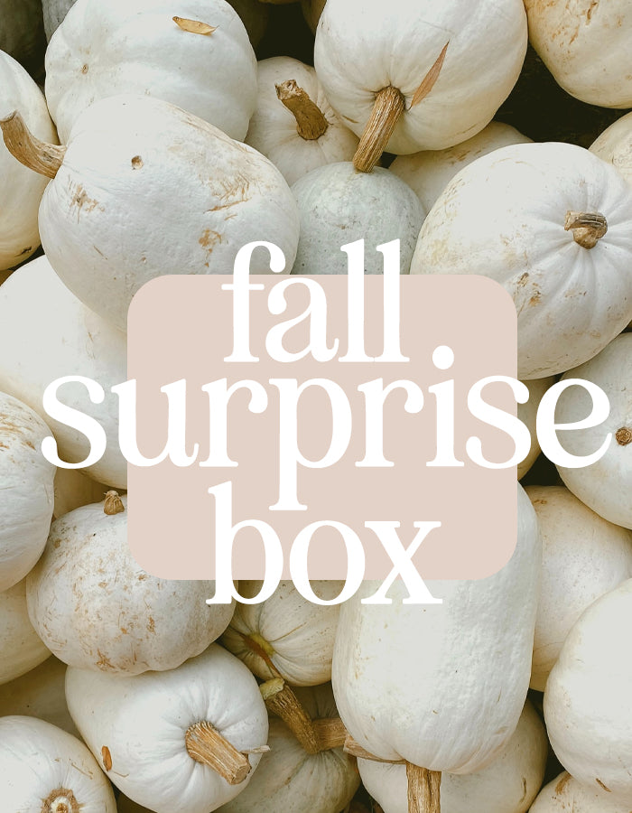 Fall Surprise Box 2023