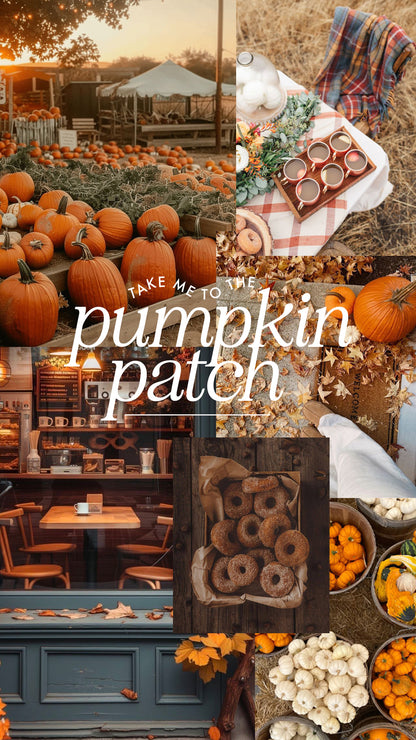Fall Surprise Box - 2025